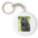 Newfoundland 9T086D-067_2 keychains