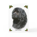 Newfoundland 9T086D-067 cards