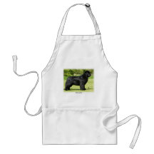 Newfoundland 9T086D-088 Apron