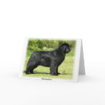 Newfoundland 9T086D-088 cards