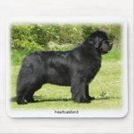 Newfoundland 9T086D-088 mousepads