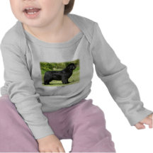 Newfoundland 9T086D-088 T Shirt