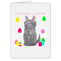 Newfoundland Black Somebunny Loves Me cards