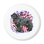 Newfoundland (blk) Patriot