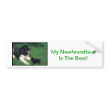 Newfoundland Bumper Stickers
