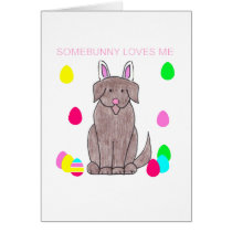 Newfoundland Chocolate Somebunny Loves Me cards