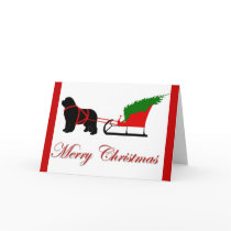 Newfoundland Christmas Card