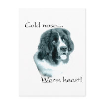 Newfoundland Cold Nose Warm Heart Postcards