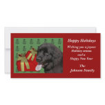 Newfoundland Dog Animal Christmas Holiday Card photo cards