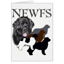 Newfoundland dog four colours cards