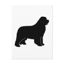 Newfoundland dog silhouette post cards