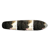 Newfoundland Dog Skateboard