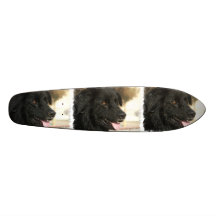 Newfoundland Dog Skateboard