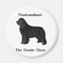 Newfoundland Dog The Gentle Giant Fridge Magnet