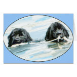 Newfoundland Dogs Swimming cards