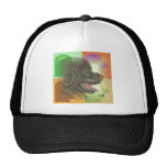 Newfoundland Hat