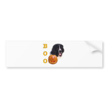 Newfoundland (landseer) Halloween Boo Bumper Stickers
