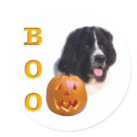 Newfoundland (landseer) Halloween Boo Sticker