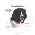 Newfoundland (landseer) History Design