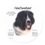 Newfoundland (landseer) History Design