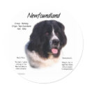 Newfoundland (landseer) History Design stickers