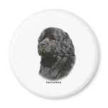 Newfoundland magnets