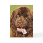 Newfoundland "Missing you" card