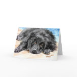 Newfoundland "Patience" Greeting Card