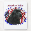 Newfoundland Pride mousepads