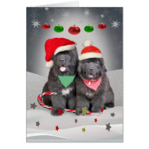 Newfoundland Puppies A Merry Christmas Cards