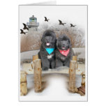 Newfoundland Puppies on beach cards