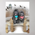 Newfoundland Puppies on beach posters