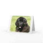 Newfoundland Puppy9T086D-104 cards