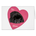 Newfoundland Puppy Dog Love Heart Greeting Cards