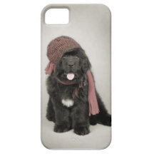 Newfoundland puppy iPhone 5 cases