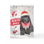 Newfoundland Puppy Loves Santa cards