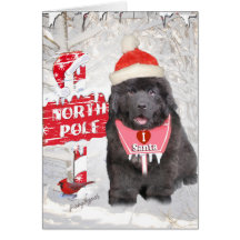 Newfoundland Puppy Loves Santa Card