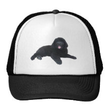 Newfoundland Puppy Mesh Hat