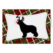 Newfoundland Reindeer Christmas Card