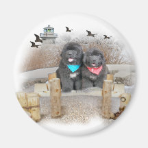 Newfoundland seashore refrigerator magnets