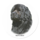 Newfoundland stickers