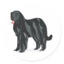 Newfoundland stickers