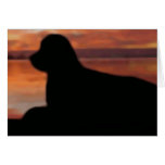 Newfoundland Sunset Sympathy Card