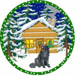 newfoundland winter photo sculptures
