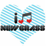 Newgrass fan photo sculptures