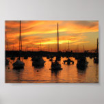 Newport Sunset Poster