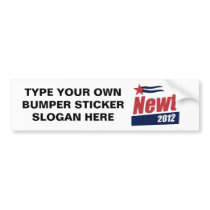 Newt 2012 banner