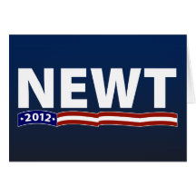Newt 2012 card