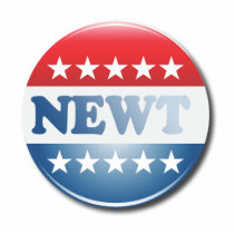 NEWT CAMPAIGN BUTTON PHOTO SCULPTURES