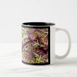 Newt Coffee Mugs